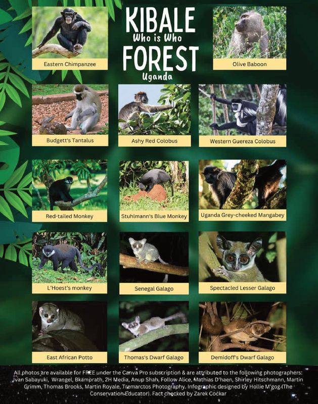 Who is who infographic Kibale forest Uganda