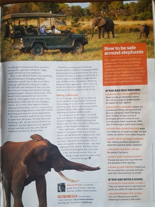 BBC wildlife magazine elephant attack