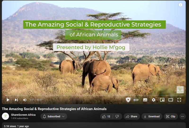 The amazing social and reproductive strategies of African Animals lecture front cover