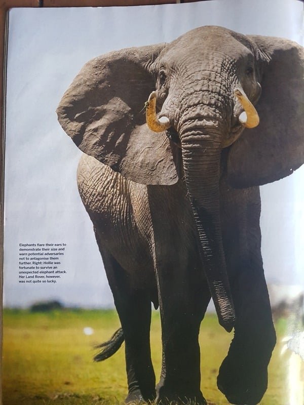 BBC wildlife magazine elephant attack