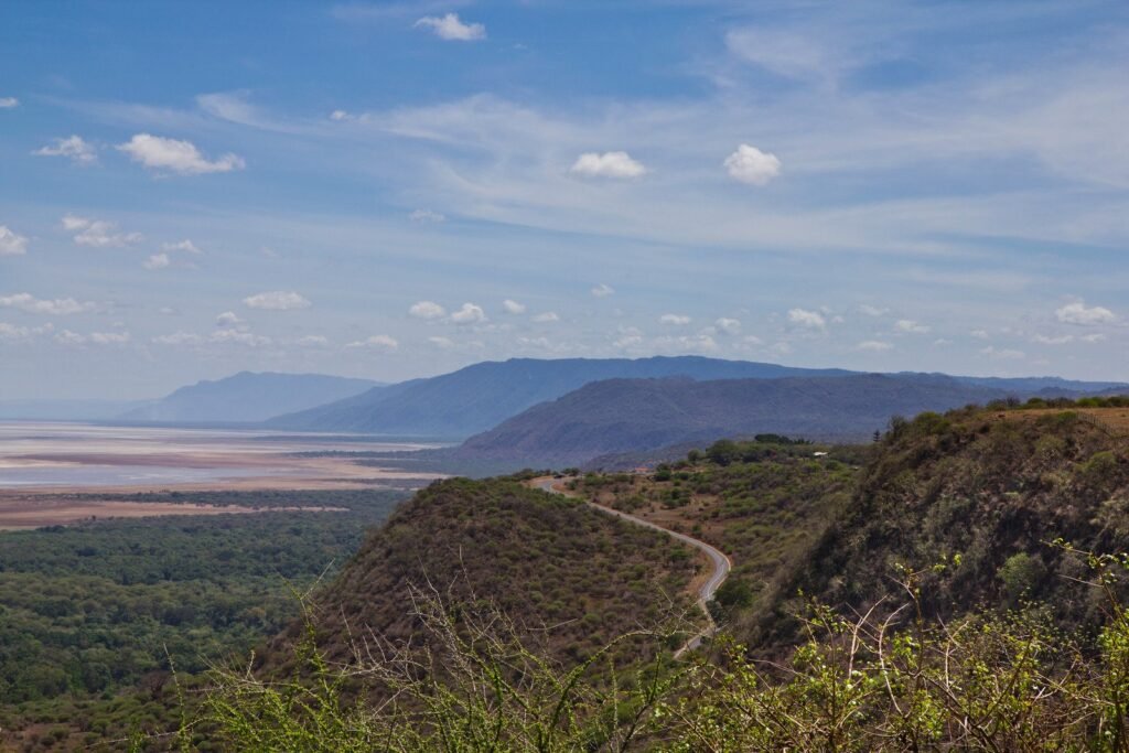 African coastal landscape