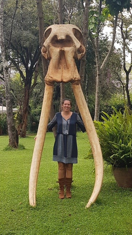Hollie M'gog standing in between two elephant tusks