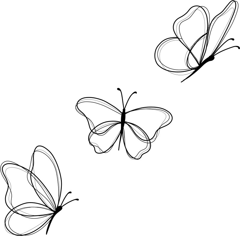 Butterfly line drawings