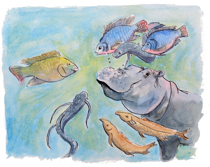 hippo talking to fish Elombe book sample page