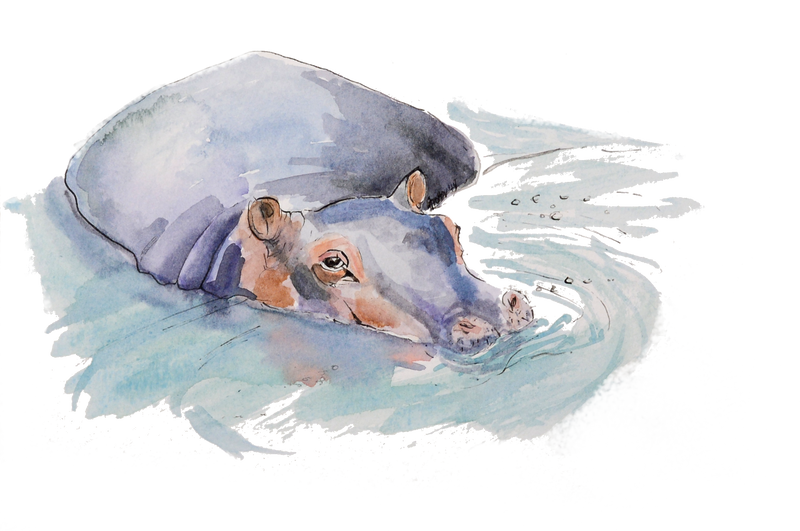 hippo talking to fish Elombe book sample page
