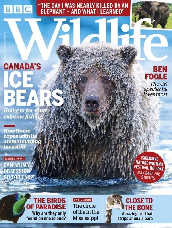 BBC wildlife front cover Hollie M'gog