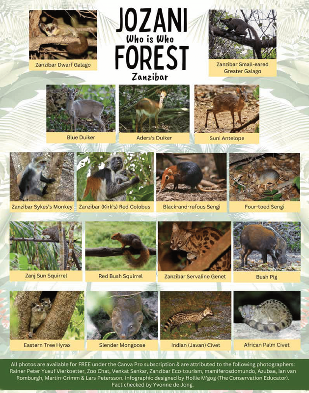 Who is who Jozani Forest in Zanzibar