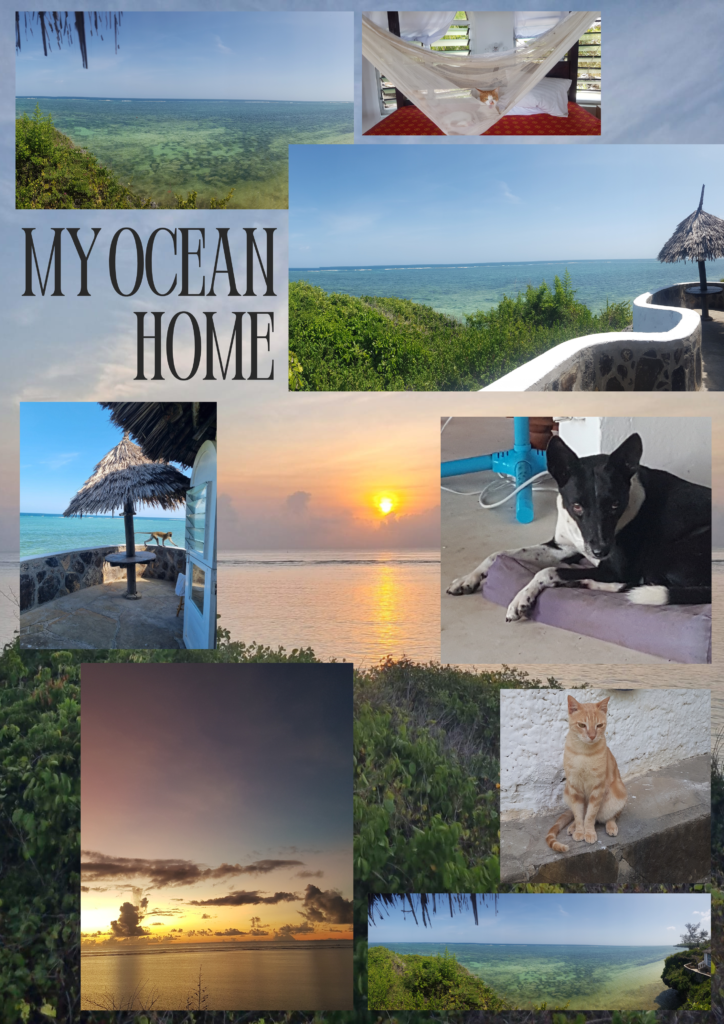 A collage of photos showing an ocean home