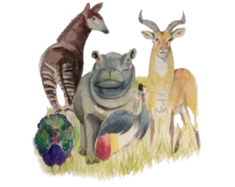 Image from Elombe the ugandan hippo from congo